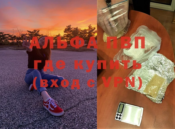стаф Володарск