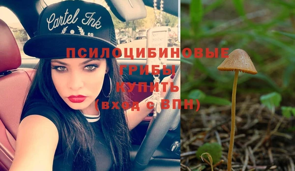стаф Володарск