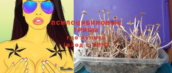 стаф Володарск