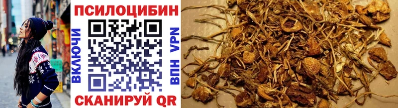 где продают наркотики  Игра  Галлюциногенные грибы Magic Shrooms 